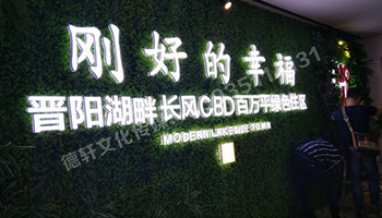 晋阳湖地产——迷你字加绿植墙